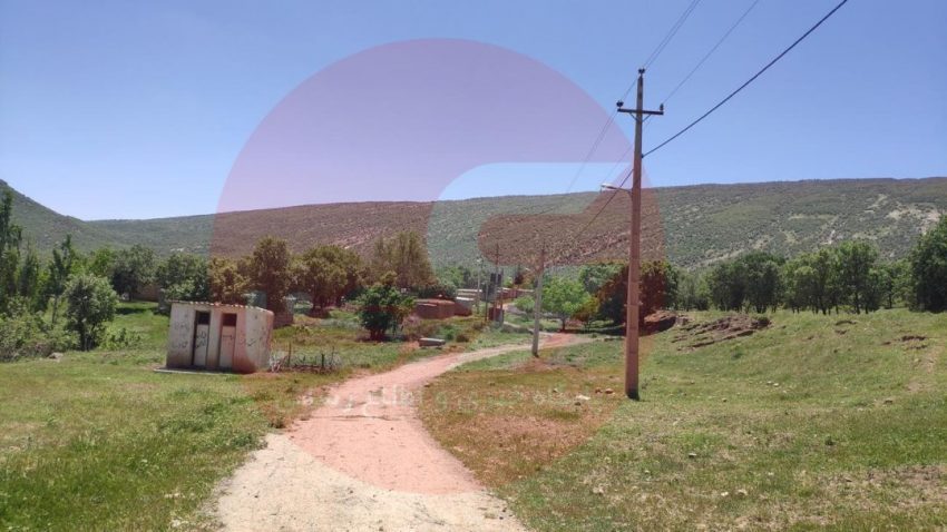 زینب 13 ساله