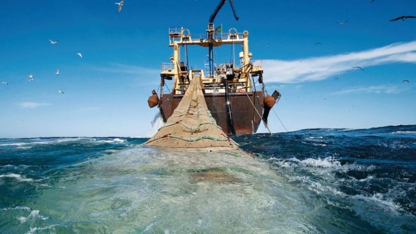 5f64559623eca_2020-09-18_11-07