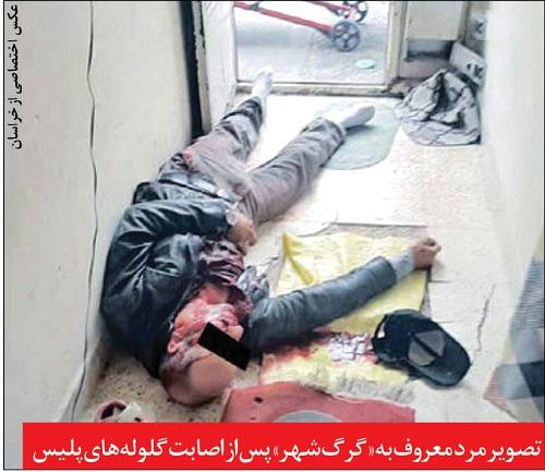 «گرگ شهر» پای چوبه‌دار زانو زد|خبر فوری