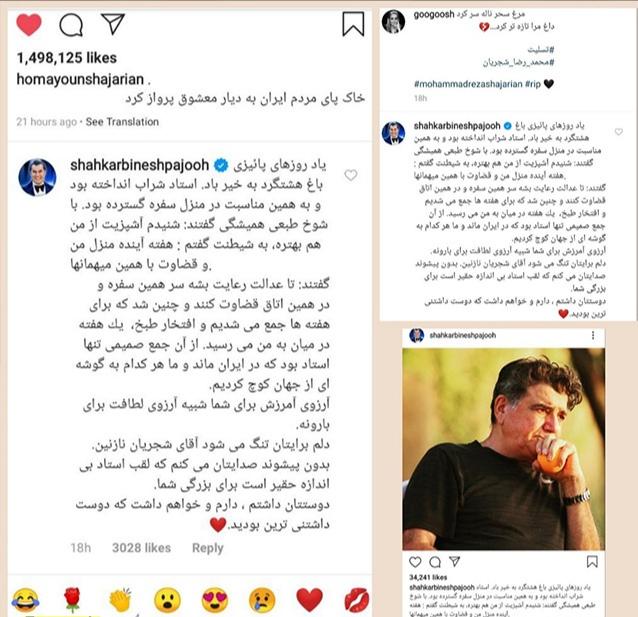 پاسخ به اظهارات خواننده خارج‌نشین در مورد شجریان|خبر فوری