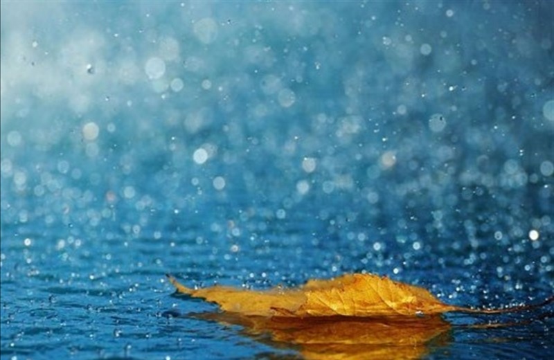 بارش شدید باران در ۱۵ استان کشور|خبر فوری