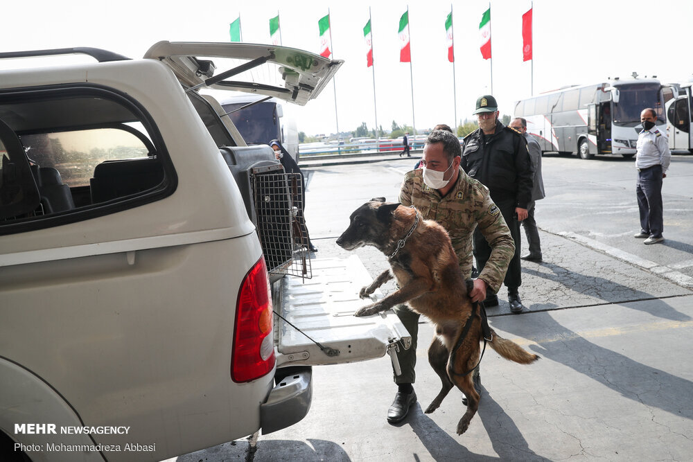 پلیس فرودگاه از قاچاقچی تریاک زرنگ‌تر بود