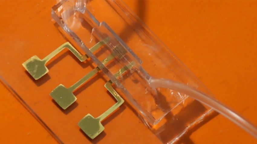 تشخیص کرونا فقط در ۱۰ ثانیه