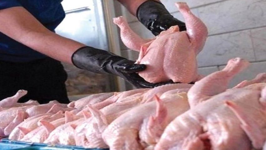 راهکارهای تشخیص گوشت تازه و سالم مرغ