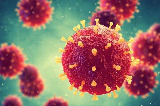 اگر مبتلا یا مشکوک به کرونا هستید این توصیهها را جدی بگیرید