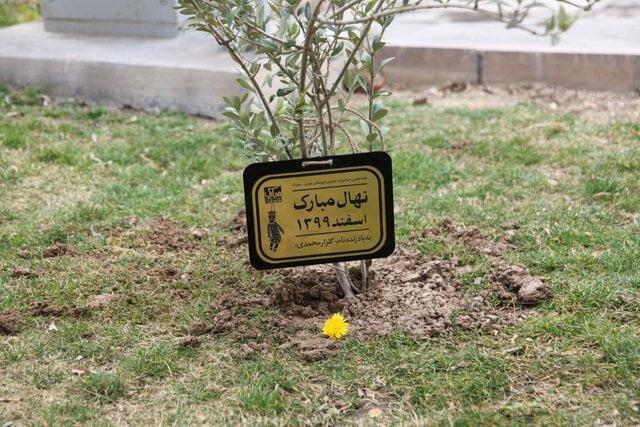 در سینما و تئاتر چه خبر است؟