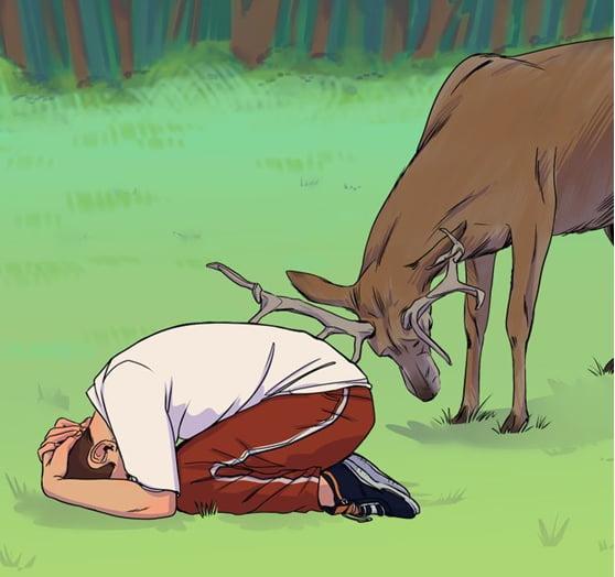 ۸ نکته برای نجات شما در مقابله با حیوانات وحشی