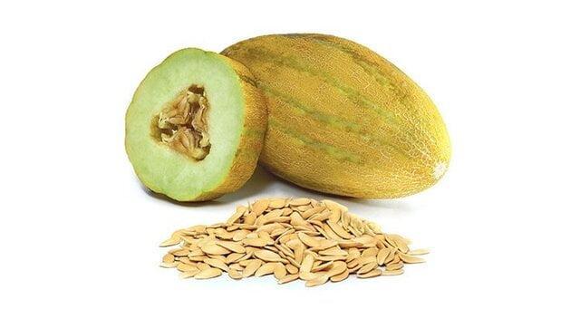 تاثیر عصاره دانه خربزه در از بین بردن سنگ کلیه