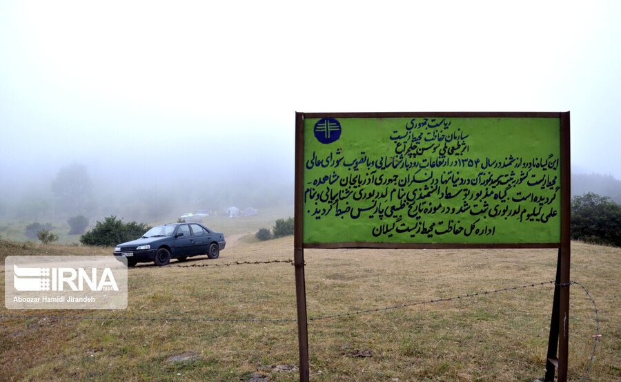 تصاویری زیبا از شکوفایی نادرترین گل جهان در داماش گیلان|خبر فوری