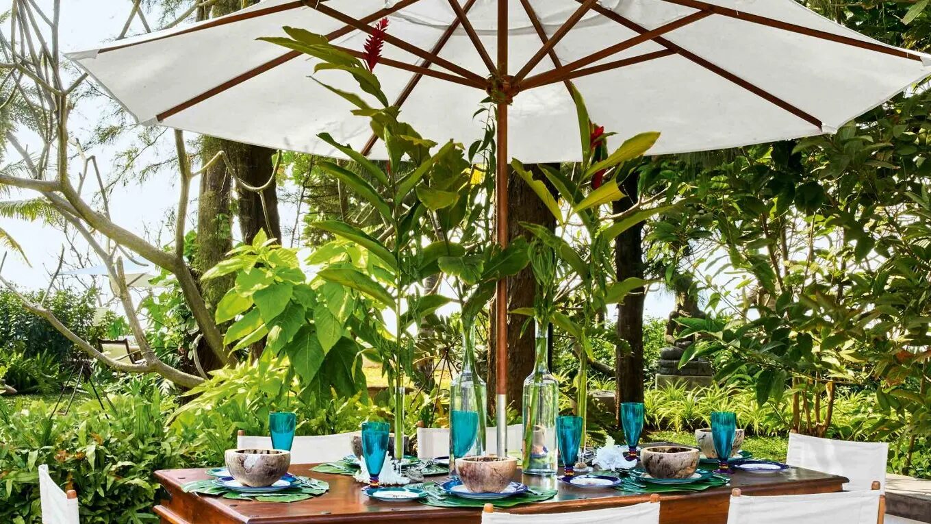 بهشت کوچکی از گل آپارتمانی