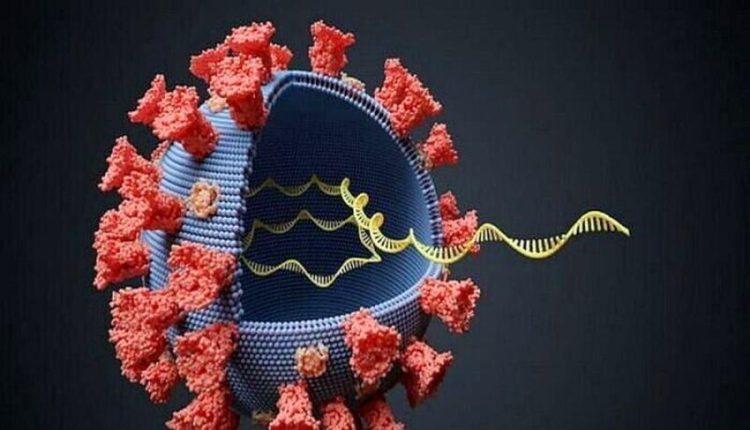 همه چیز درباره سویه جدید اُمیکرون کرونا