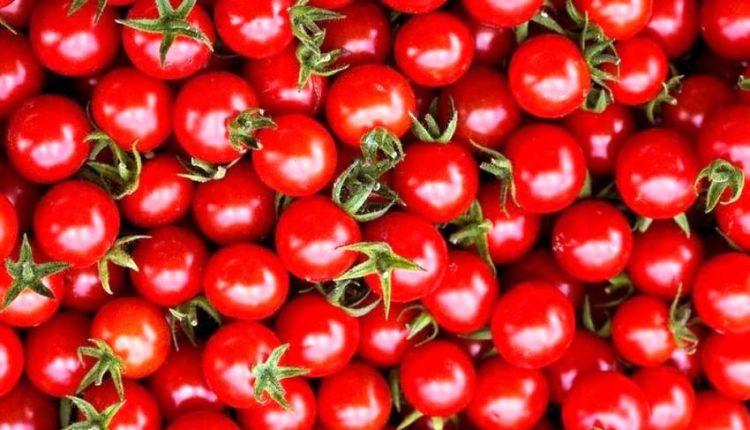 معجزه گوجه فرنگی در ترمیم ریه