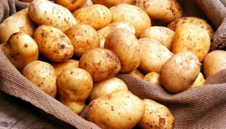 قیمت سیب زمینی در یک سال ۲.۵ برابر شد!