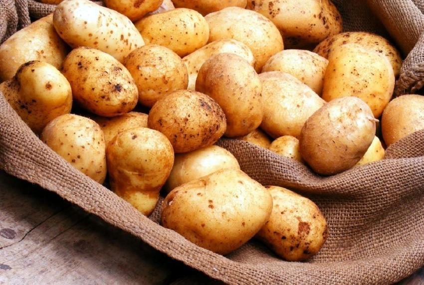 قیمت سیب زمینی در یک سال ۲.۵ برابر شد!