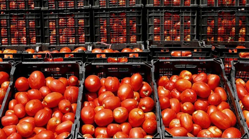 کشف تریاک در میان بار گوجه فرنگی