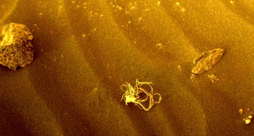 ناسا در کره‌ مریخ چیزی شبیه «اسپاگتی» پیدا کرد