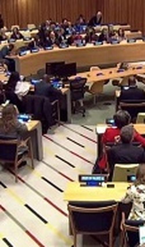 اخراج ایران از کمیسیون مقام زن در سازمان ملل؛ هم چوب هم پیاز!/ نباید می‌گذاشتند کار به اینجا بکشد