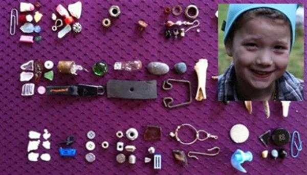 انسانها تنها گونه‌ای نیستند که هدیه میدهند؟