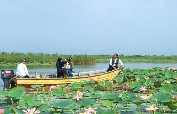 رشت یا بندر انزلی؛ کدام شهر گیلان را برای سفر انتخاب کنیم؟