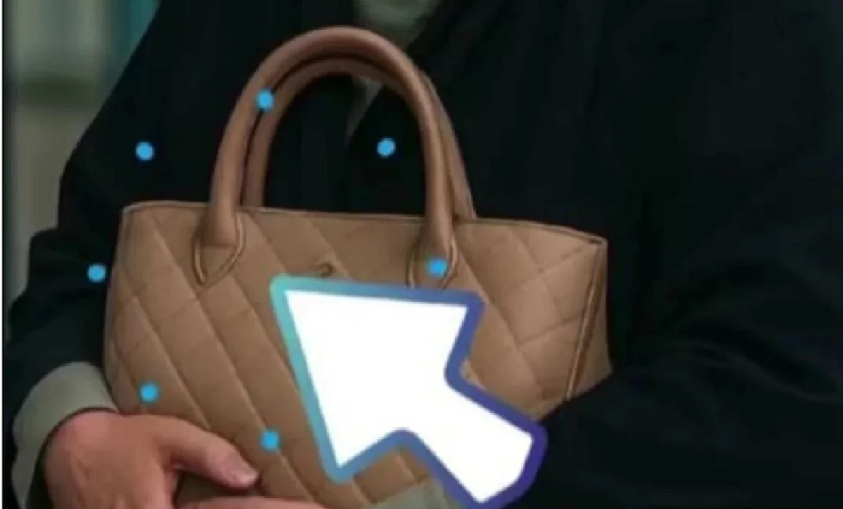 واکنش پرستویی به ماجرای کیف وزیر/ وقتی قانون زیر پا گذاشته می‌شود