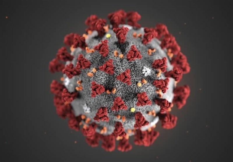 مسدود کردن ویروس کرونا با مولکول گوگرد|خبر فوری