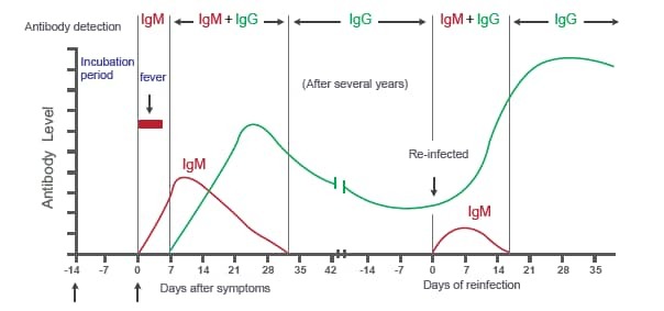 کدام تست برای تشخیص کووید ۱۹ دقیق‌تر است؟