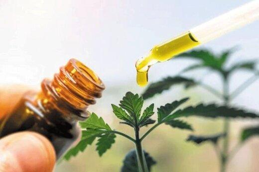 شناسایی ۶۰ میلیون تومان داروی غیرمجاز در یک عطاری در قم|خبر فوری