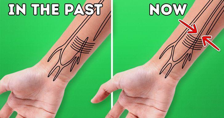 ۵ نشانه ای که ثابت می‌کند بدن انسان به سرعت در حال تکامل است|خبر فوری