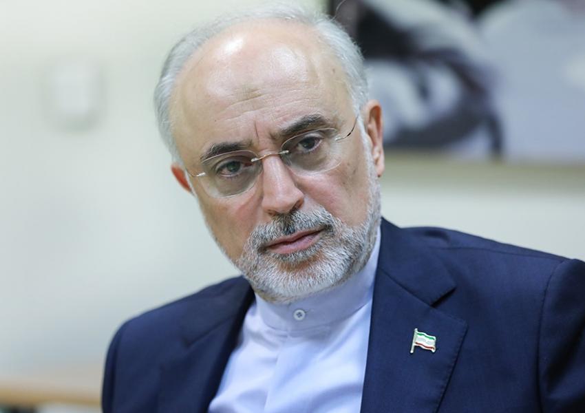 علی اکبر صالحی از حضور در عرصه انتخابات منصرف شد