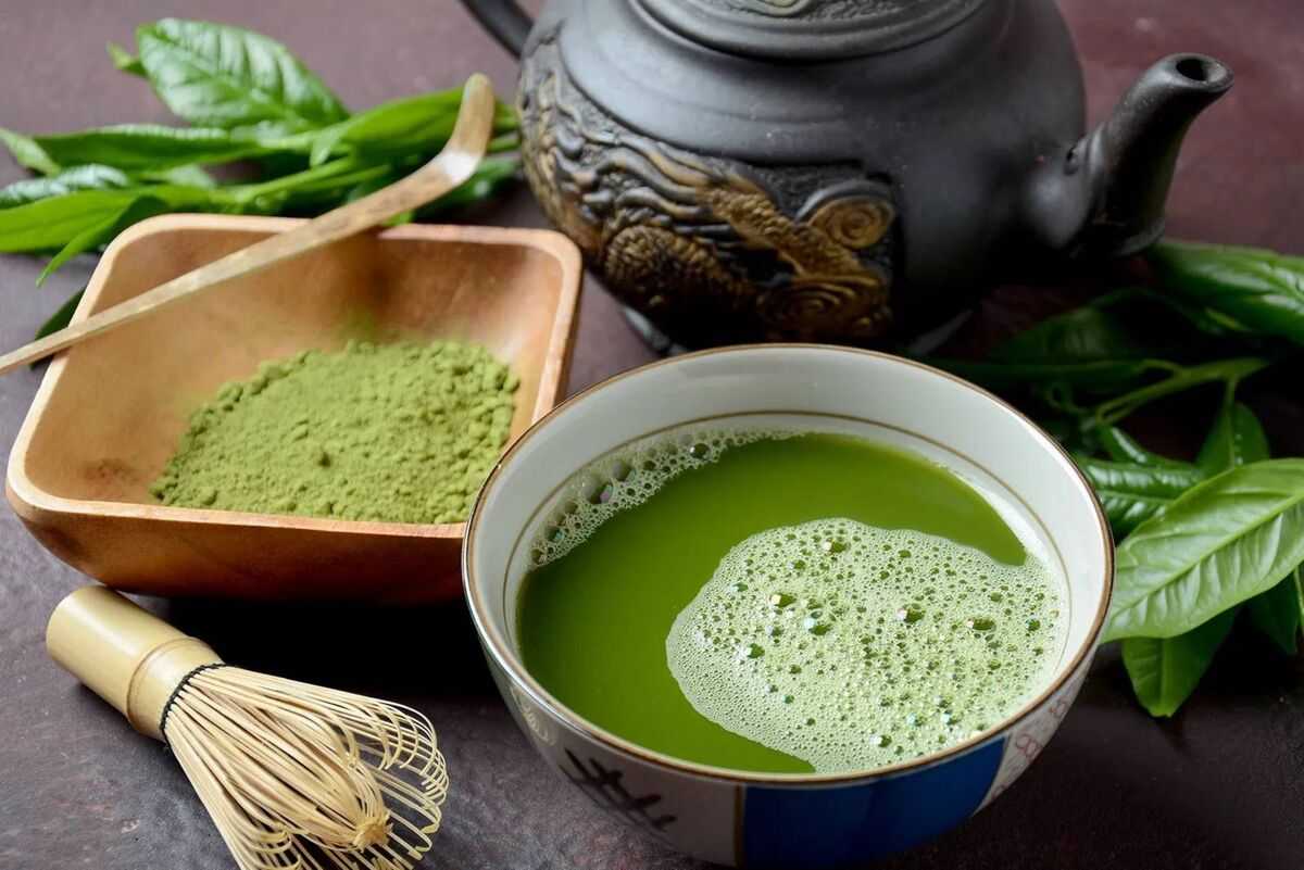ماچا؛ چای چینی با مزه‌ای عجیب/ با ترند این روزهای اینستاگرام آشنا شوید/ از روش تهیه تا خواص و تاریخچه